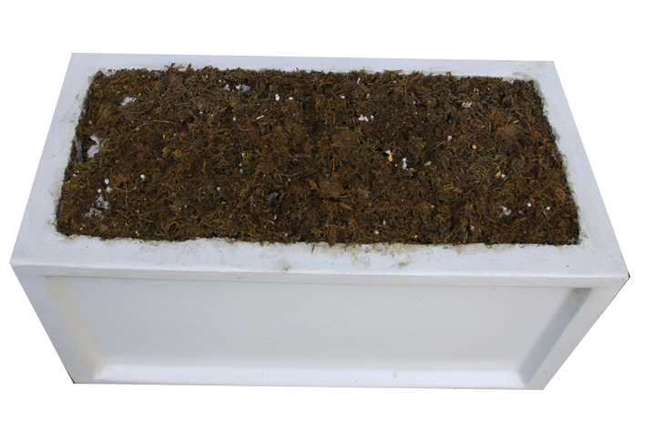 Simple Rectangular Planters