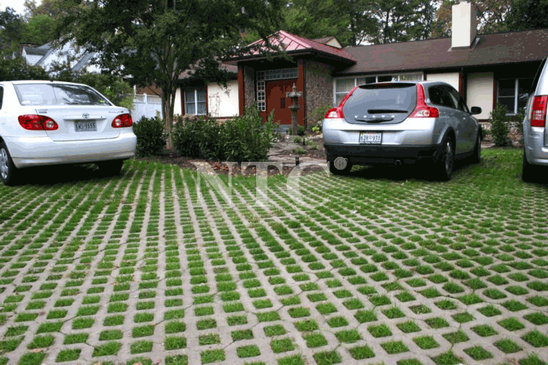 Grass Pavers