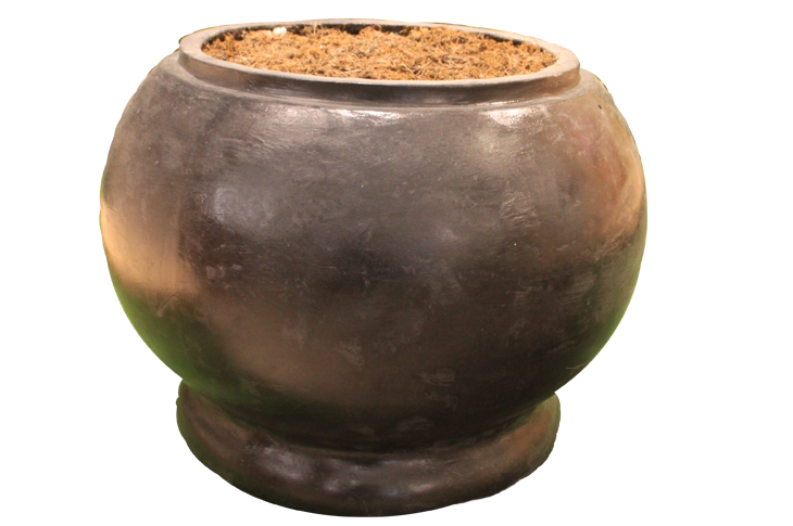Bowl Shape Planter